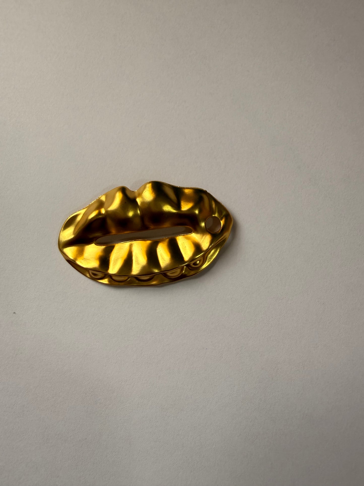 Wagen Brooch