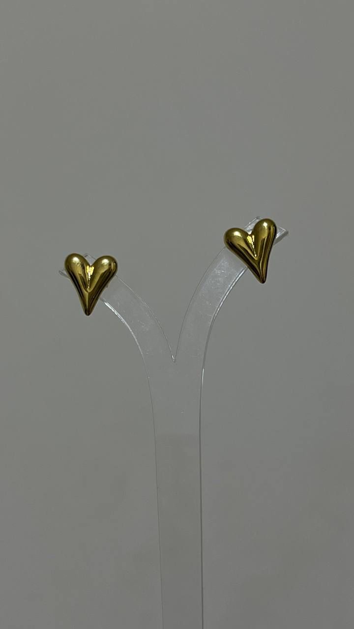 Nols Earring