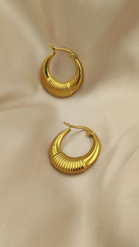 Qwrta Earring